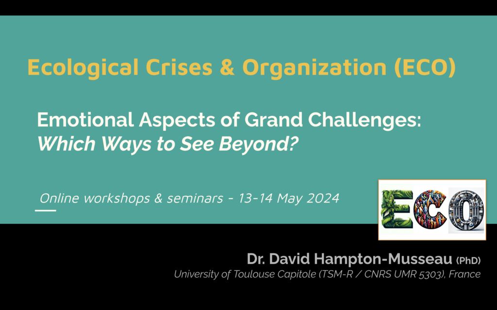 "Emotional Aspects of Grand Challenges: Which Ways to See Beyond?"